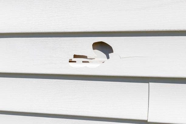 Storm Damage Siding Repair in Wadesboro, NC